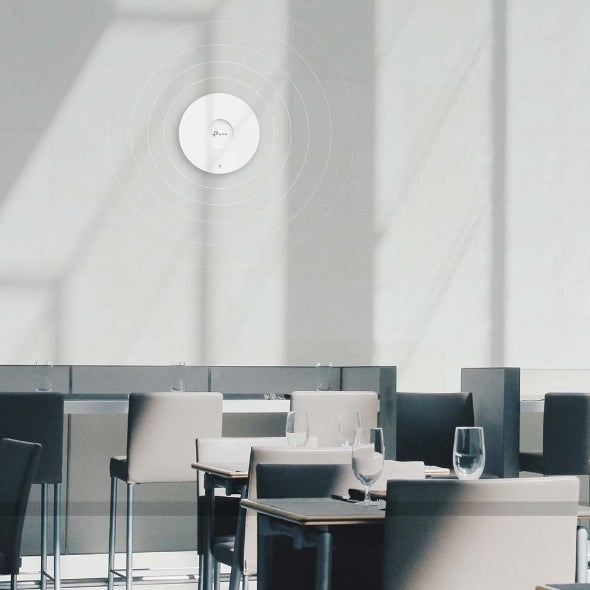 Access Point EAP613